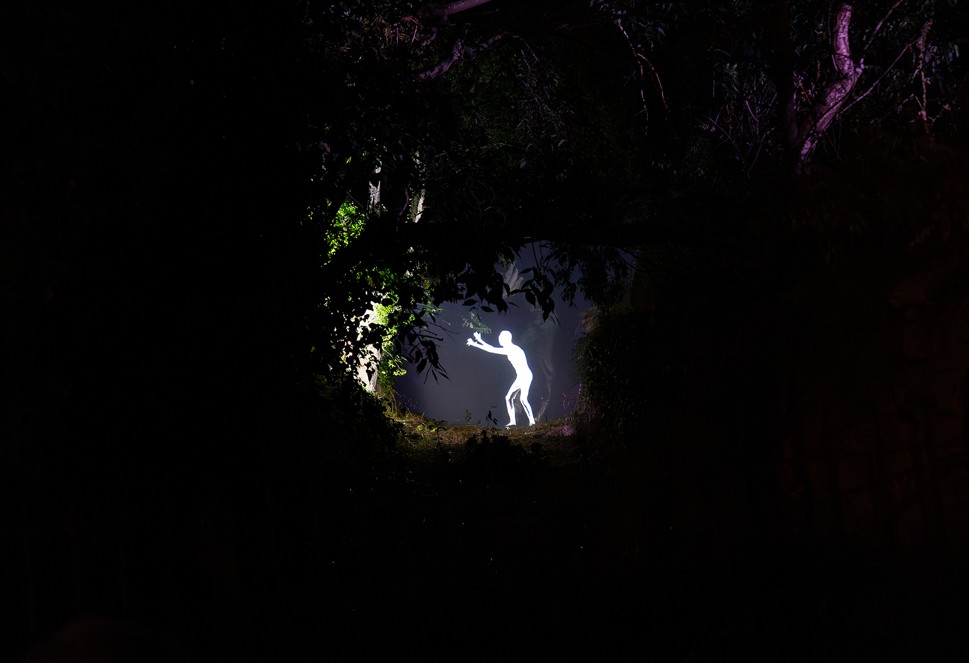 EL PARDINOT